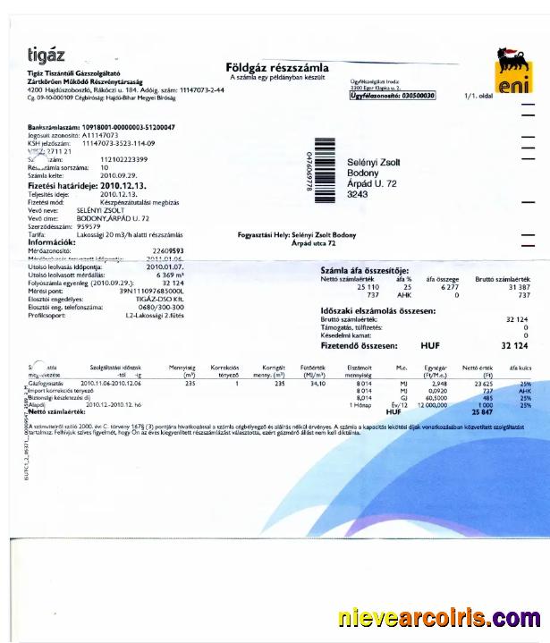 HUNGARY TIGAZ utility bill